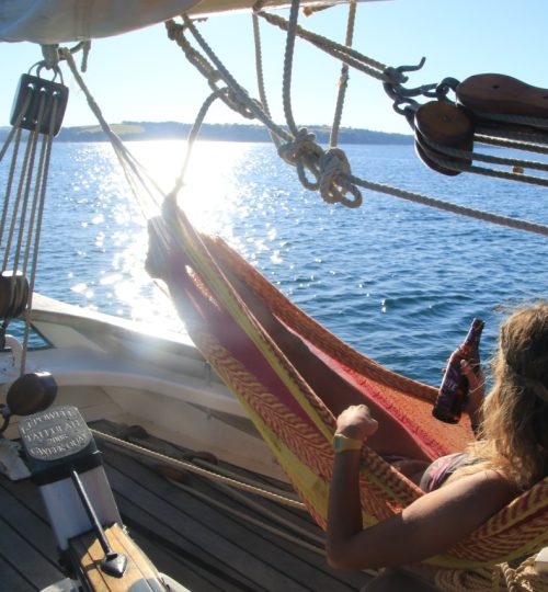 tallulah relaxing in hammock on deck